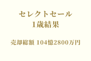 サラブレッドマーケット