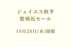 サラブレッドマーケット