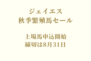 サラブレッドマーケット