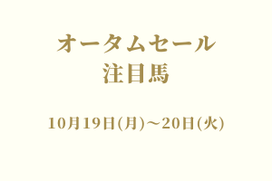 サラブレッドマーケット