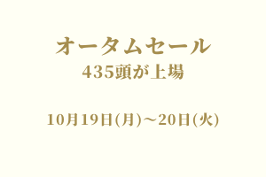 サラブレッドマーケット