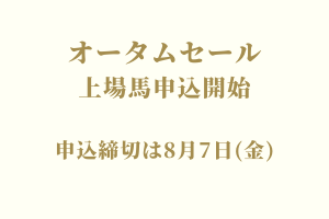 サラブレッドマーケット
