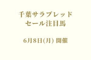 サラブレッドマーケット