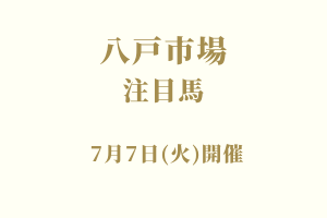 サラブレッドマーケット