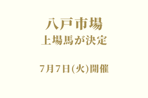 サラブレッドマーケット