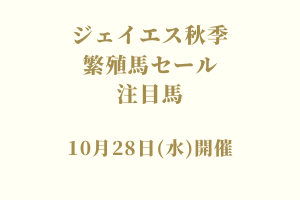サラブレッドマーケット
