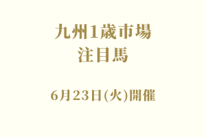 サラブレッドマーケット