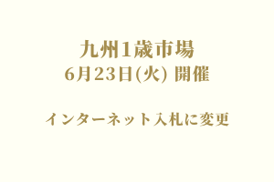 サラブレッドマーケット