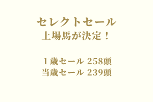 サラブレッドマーケット