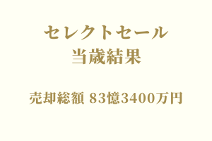 サラブレッドマーケット