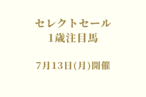サラブレッドマーケット