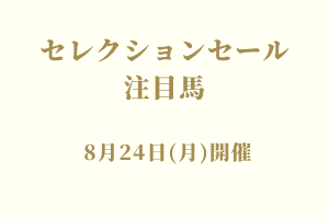 サラブレッドマーケット