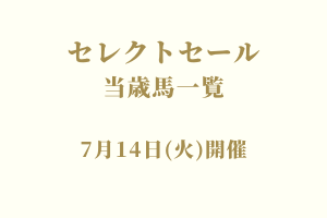 サラブレッドマーケット