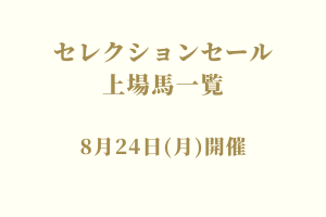 サラブレッドマーケット
