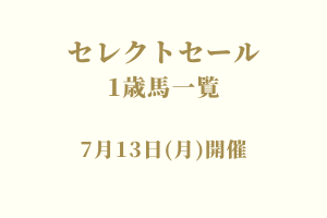 サラブレッドマーケット