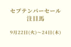 サラブレッドマーケット