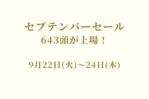 サラブレッドマーケット
