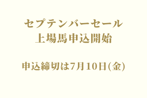 サラブレッドマーケット