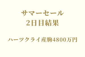 サラブレッドマーケット