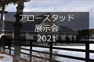 サラブレッドマーケット