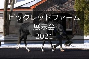 サラブレッドマーケット