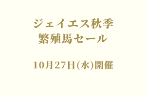 サラブレッドマーケット