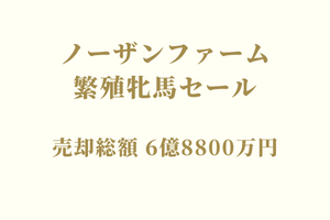 サラブレッドマーケット