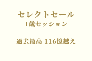 サラブレッドマーケット