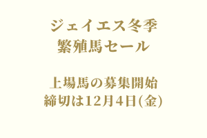 サラブレッドマーケット