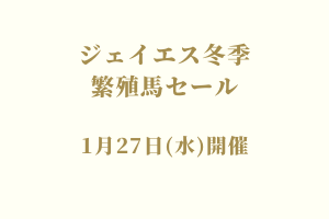 サラブレッドマーケット