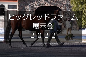 サラブレッドマーケット