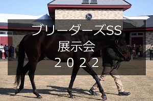 サラブレッドマーケット
