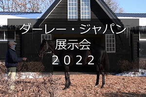 サラブレッドマーケット