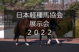 サラブレッドマーケット