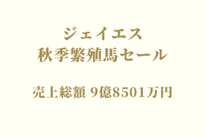サラブレッドマーケット