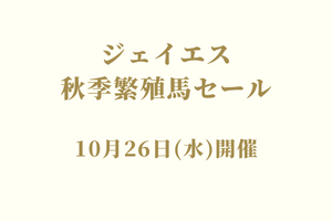 サラブレッドマーケット