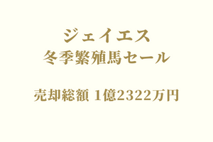 サラブレッドマーケット