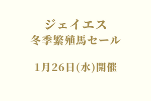 サラブレッドマーケット