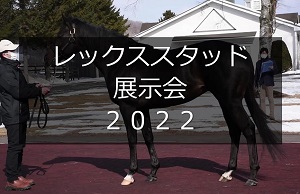 サラブレッドマーケット