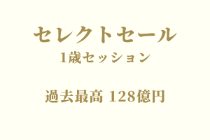 サラブレッドマーケット
