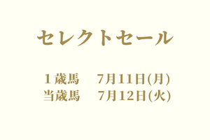 サラブレッドマーケット