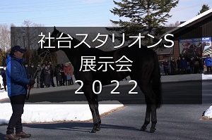 サラブレッドマーケット
