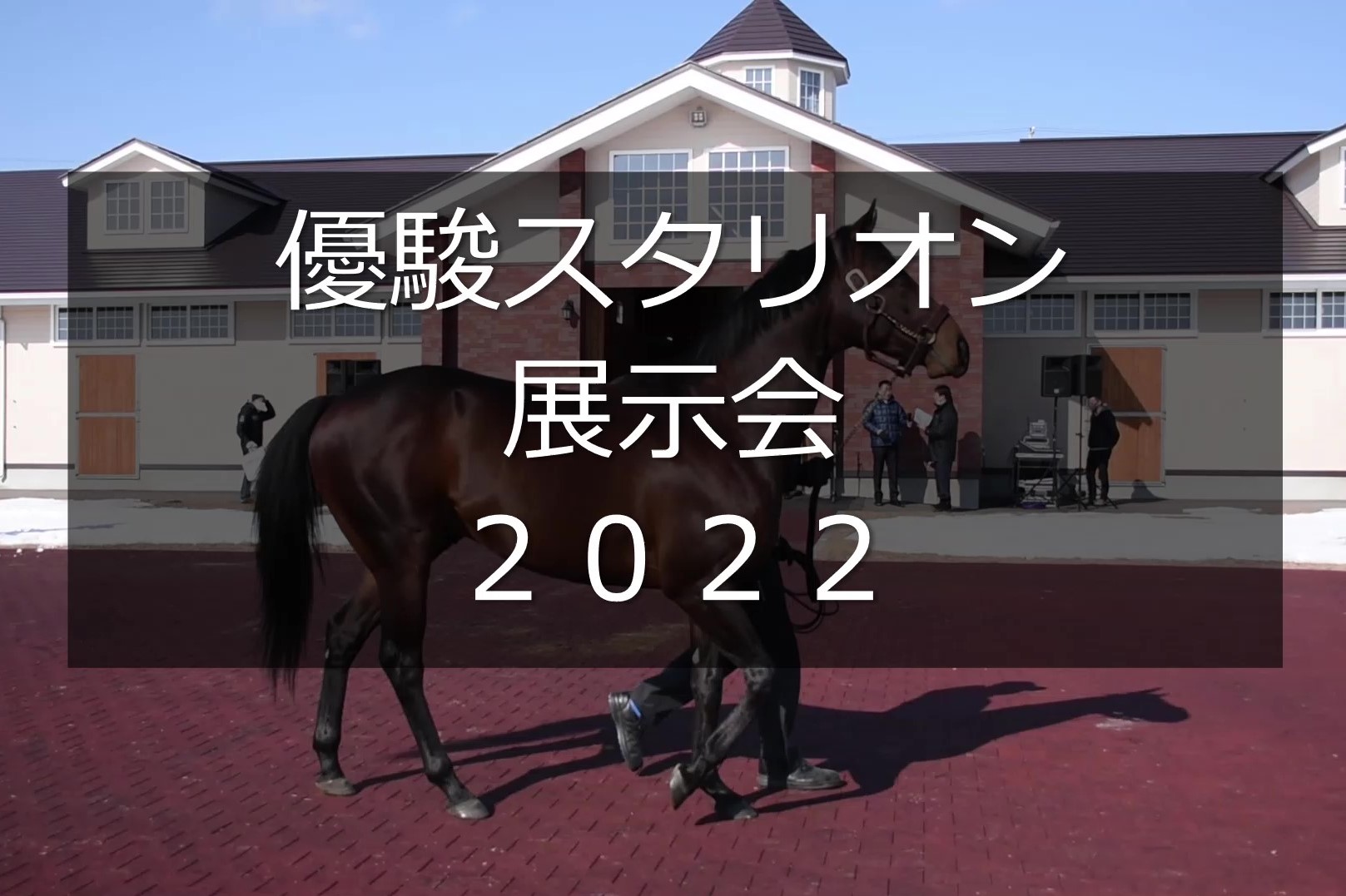 サラブレッドマーケット