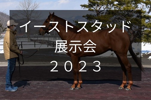 サラブレッドマーケット
