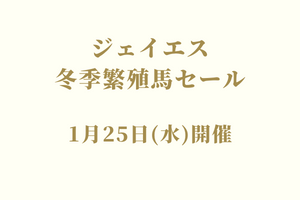 サラブレッドマーケット