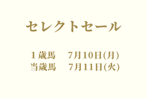 サラブレッドマーケット