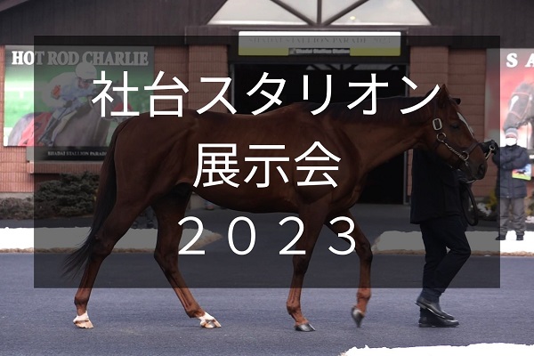 サラブレッドマーケット