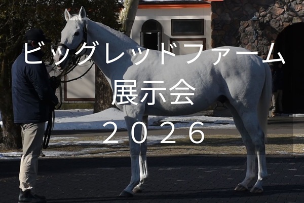 サラブレッドマーケット