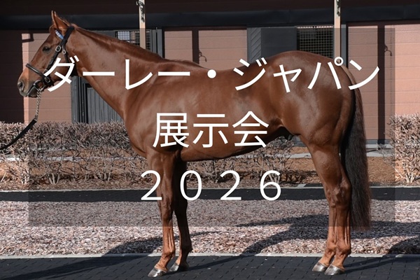 サラブレッドマーケット