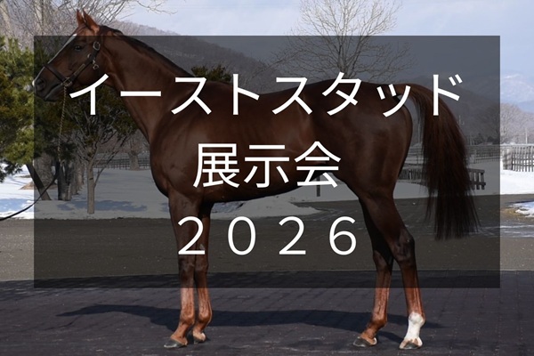 サラブレッドマーケット